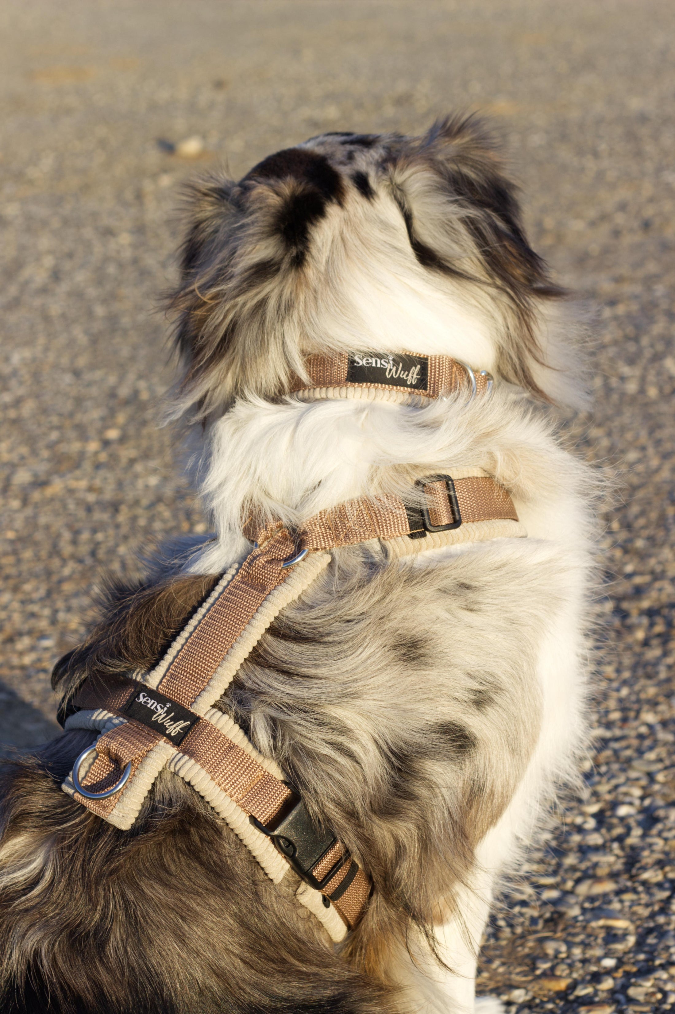 Halsband "Sunkissed" hellbraun/ beige mit Cord