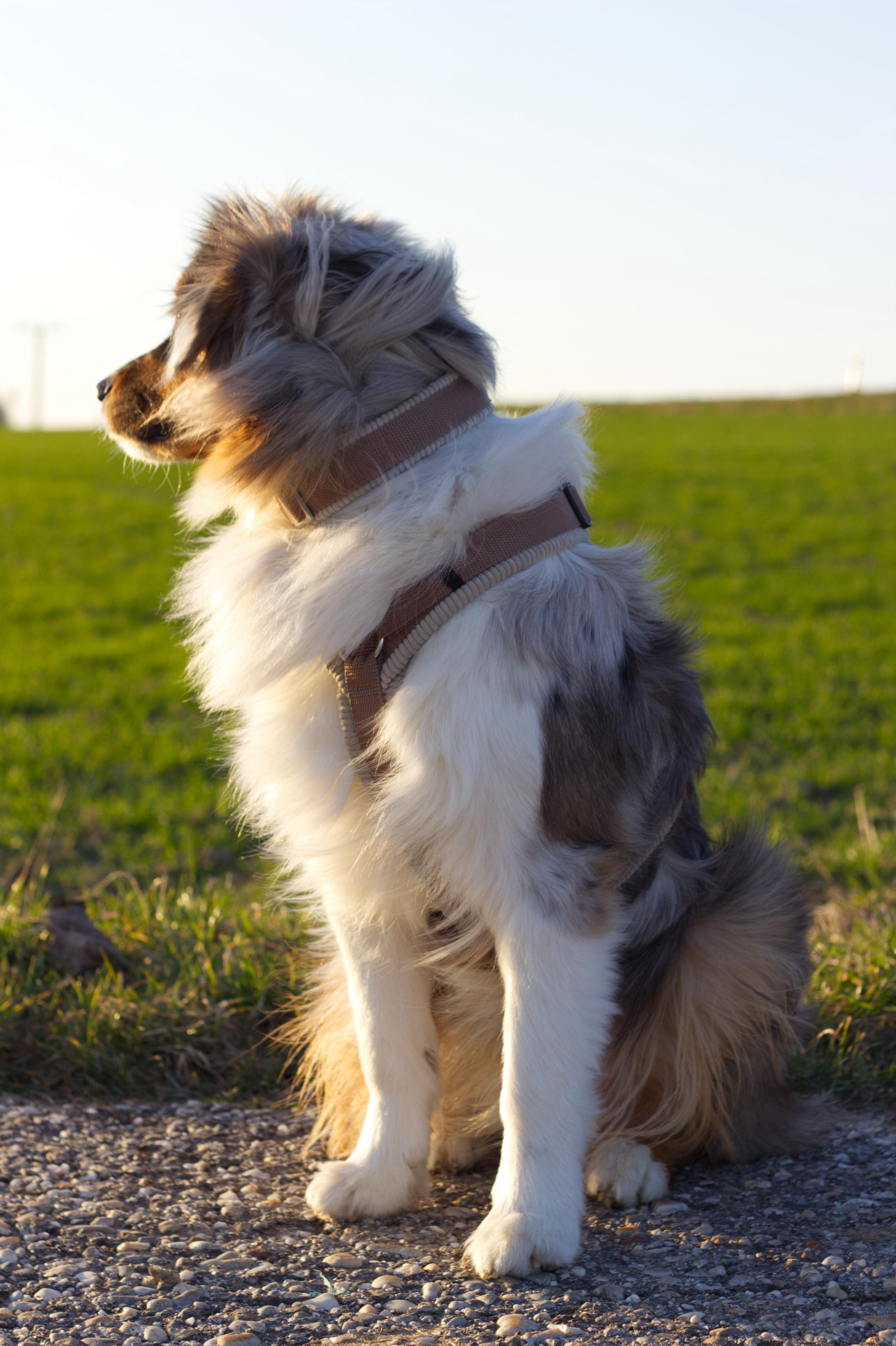 Halsband "Sunkissed" hellbraun/ beige mit Cord