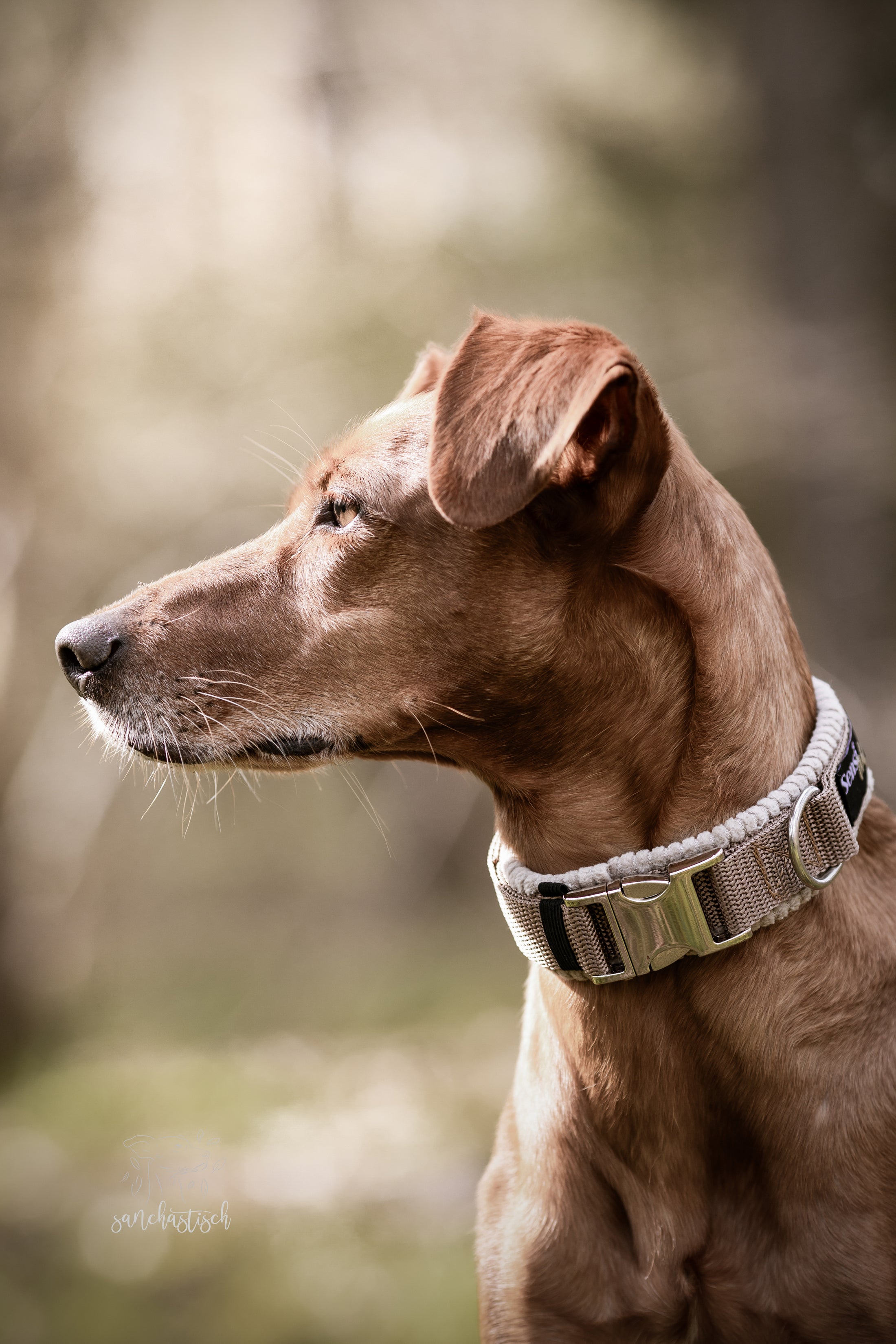 Halsband "Sunkissed" hellbraun/ beige mit Cord