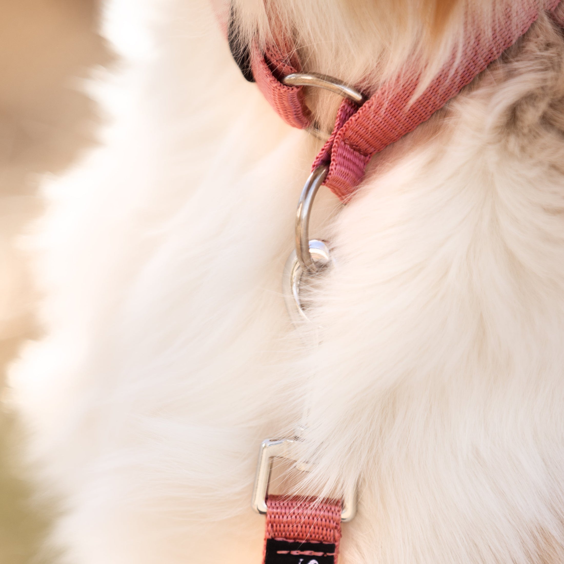 Zugstopp-Halsband "Soft Summer Breeze" - Altrosa mit altrosa Cord