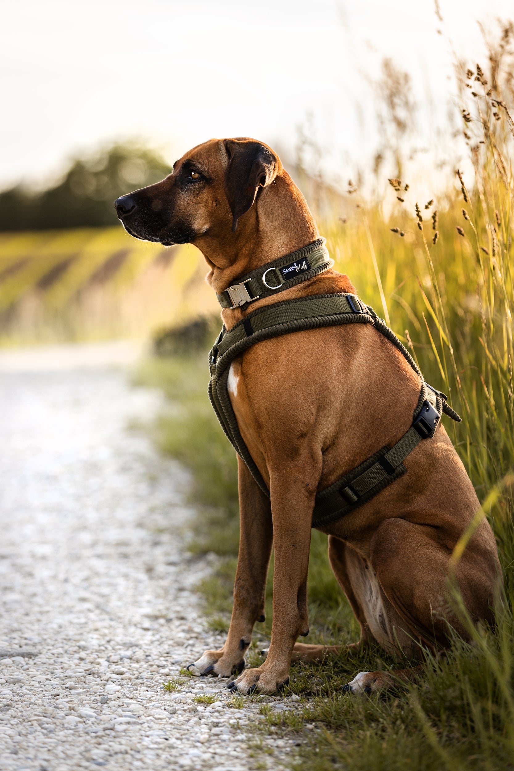 Halsband "Pure Elegance" - Olive mit Cord