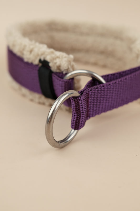 Zugstopp-Halsband "Cozy Wintertime" - Winterbeere mit Teddy