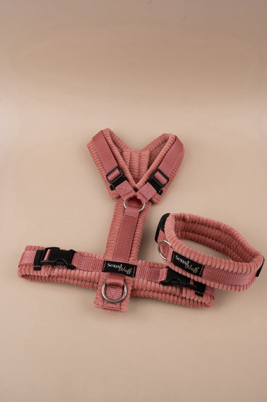 Geschirr "Soft Summer Breeze" Altrosa mit altrosa Cord