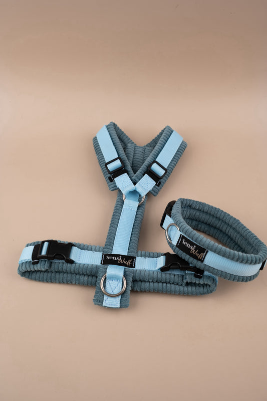 Geschirr "Soft Summer Breeze" Eisblau mit petrol Cord